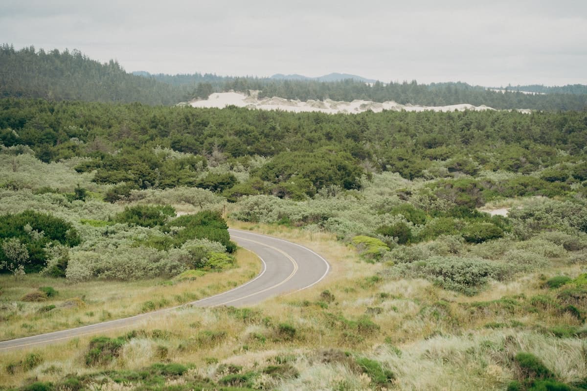 Florence / Dunes