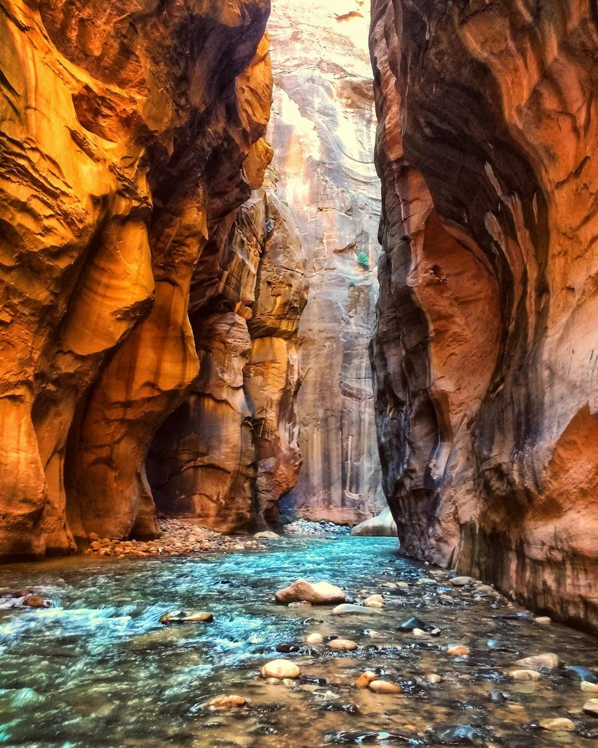 Zion National Park (Springdale)